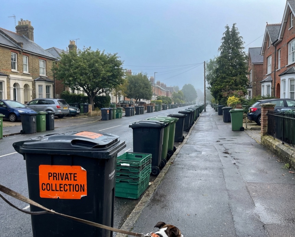Residential street with bins in Aldingbourne awaiting collection